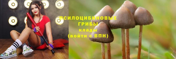 а пвп мука Баксан