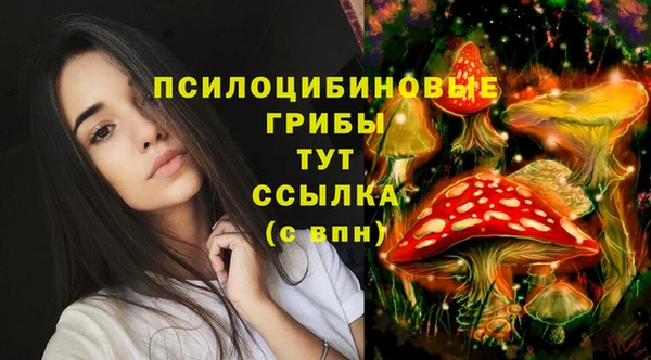 2c-b Балабаново