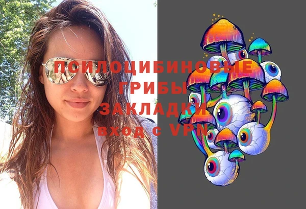 дживик Балахна